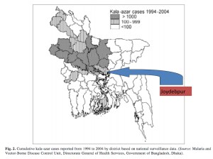 Leishmaniasis prevalence map (source unknown).