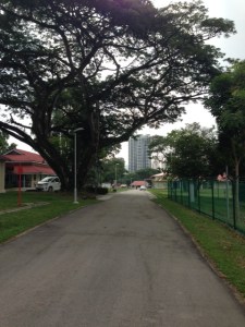 A view of CDC from the back entrance.