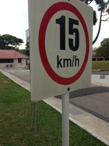 A speed sign within CDC. You can just about make out the Ropalidia spp. paper wasp nests hanging from it.
