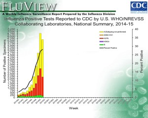 Influenza subtypes - mainly H3N2 influenza A in this current influenza season in the US (Source: CDC Flu Weekly).