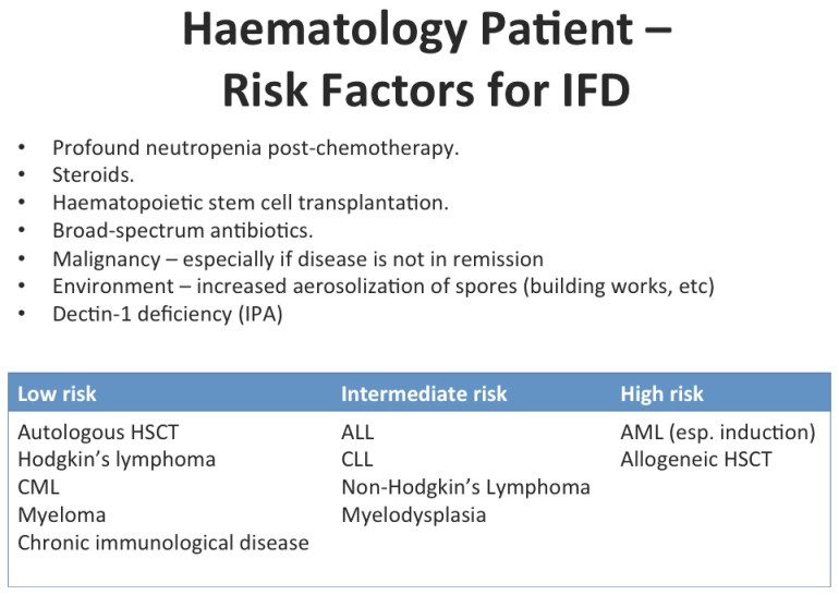 Risk factors for invasive fungal diseases in patients with haematological disorders (adapted from Pagano L, et al. J Antimicrob Chemother. 2011;66:i5-i14. 