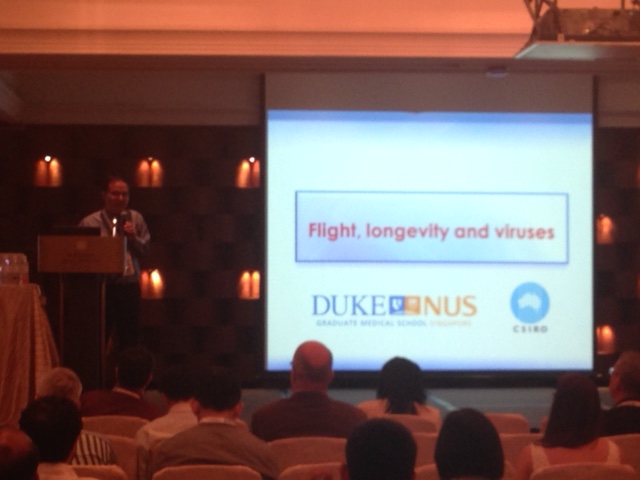 Bats - by Prof Wang Linfa.