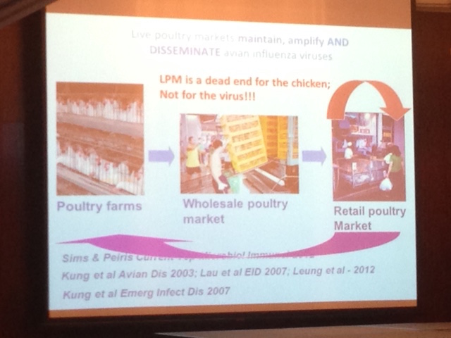 A slide from Prof. Malik Peiris' talk - live poultry markets in China and the spread of influenza from chickens to other chickens and humans.
