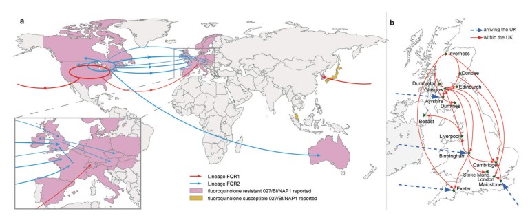 Map showing the inferred transmission events for the BI/NAP1/027 epidemic strains of Clostridium difficile (Singapore contributed strains to the study). This map was obtained from the Nature Genetics publication.