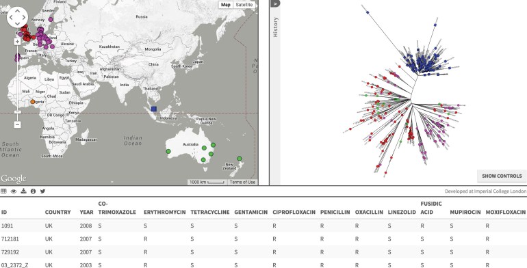 Screen capture of Singapore ST22-MRSA-IV data on Microcreact