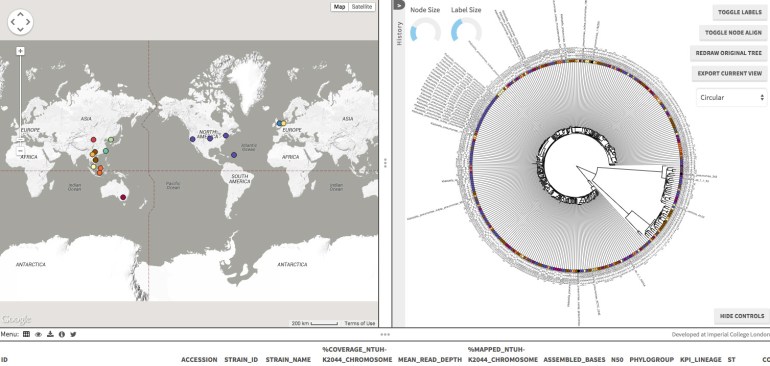 Screen capture from the Microreact site, detailing the Klebsiella pneumoniae project.