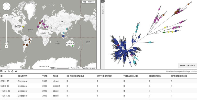 Screen capture of Singapore ST239-MRSA-III data on Microcreact