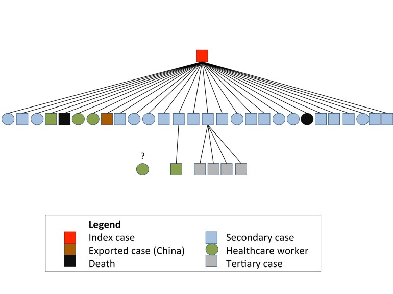 Approximate transmission tree for the South Korean MERS-CoV outbreak. The source of infection for one healthcare worker was not identifiable based on online reports.