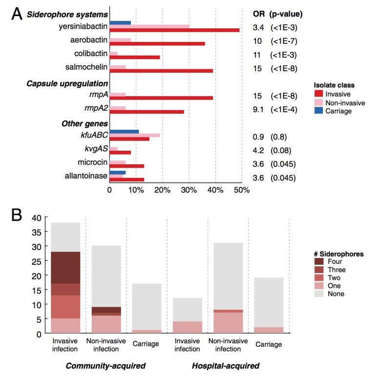 Virulence factors associated with Klebsiella pneumoniae infection. This is figure 3 from the main PNAS manuscript.