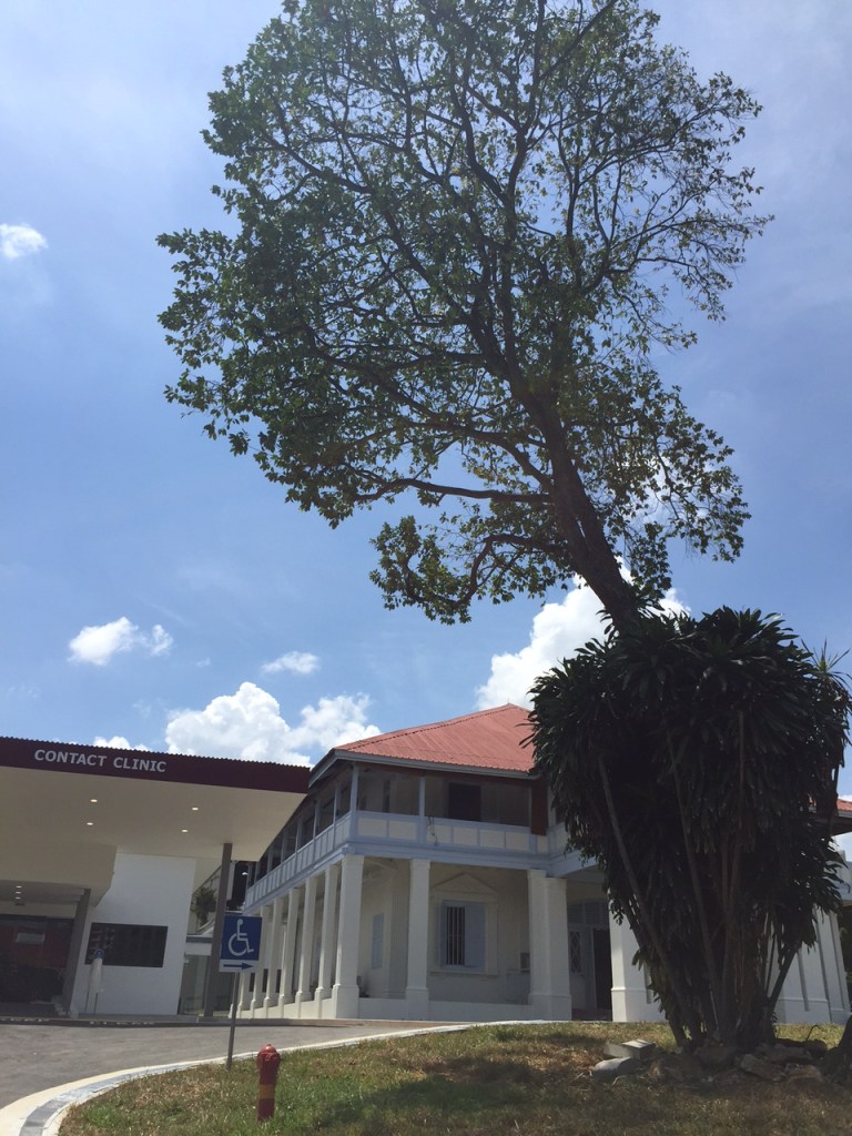 Another view of the bungalow, with the remaining tree within the compound.