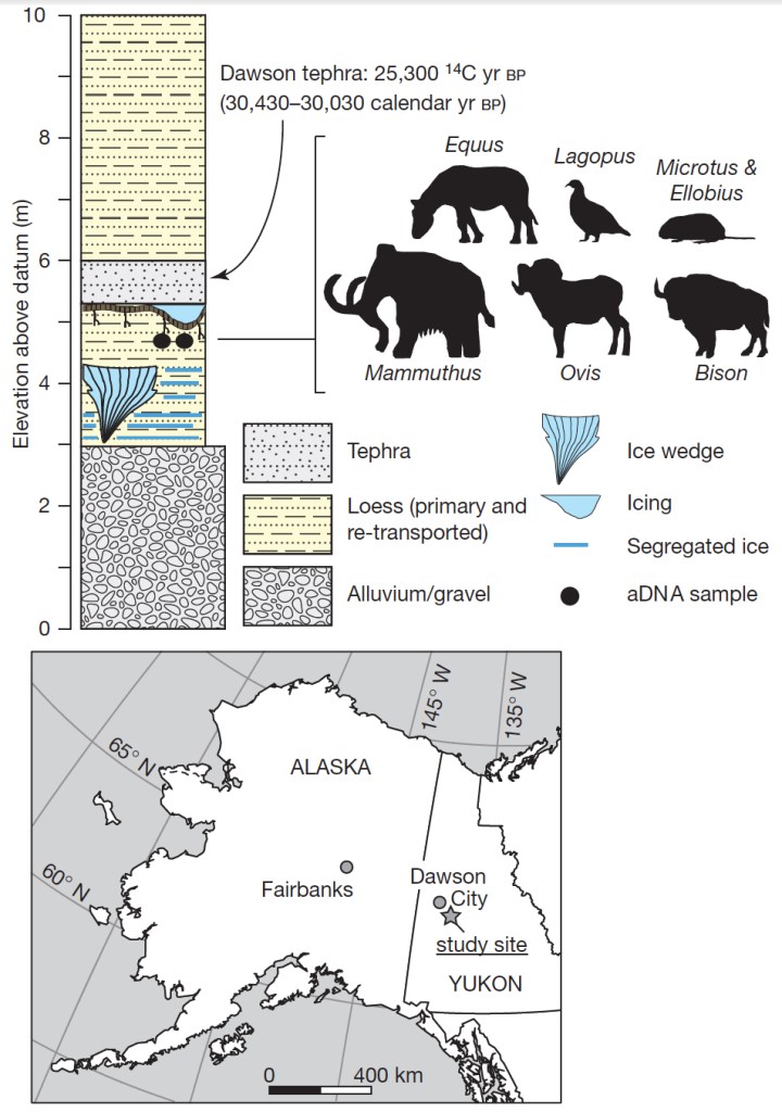 Figure-permafrost-AMR