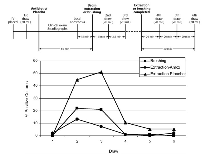Echo-SG-27Oct-1545H-HsuLY